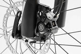 Darwin IV 24-Inch Kids Bike