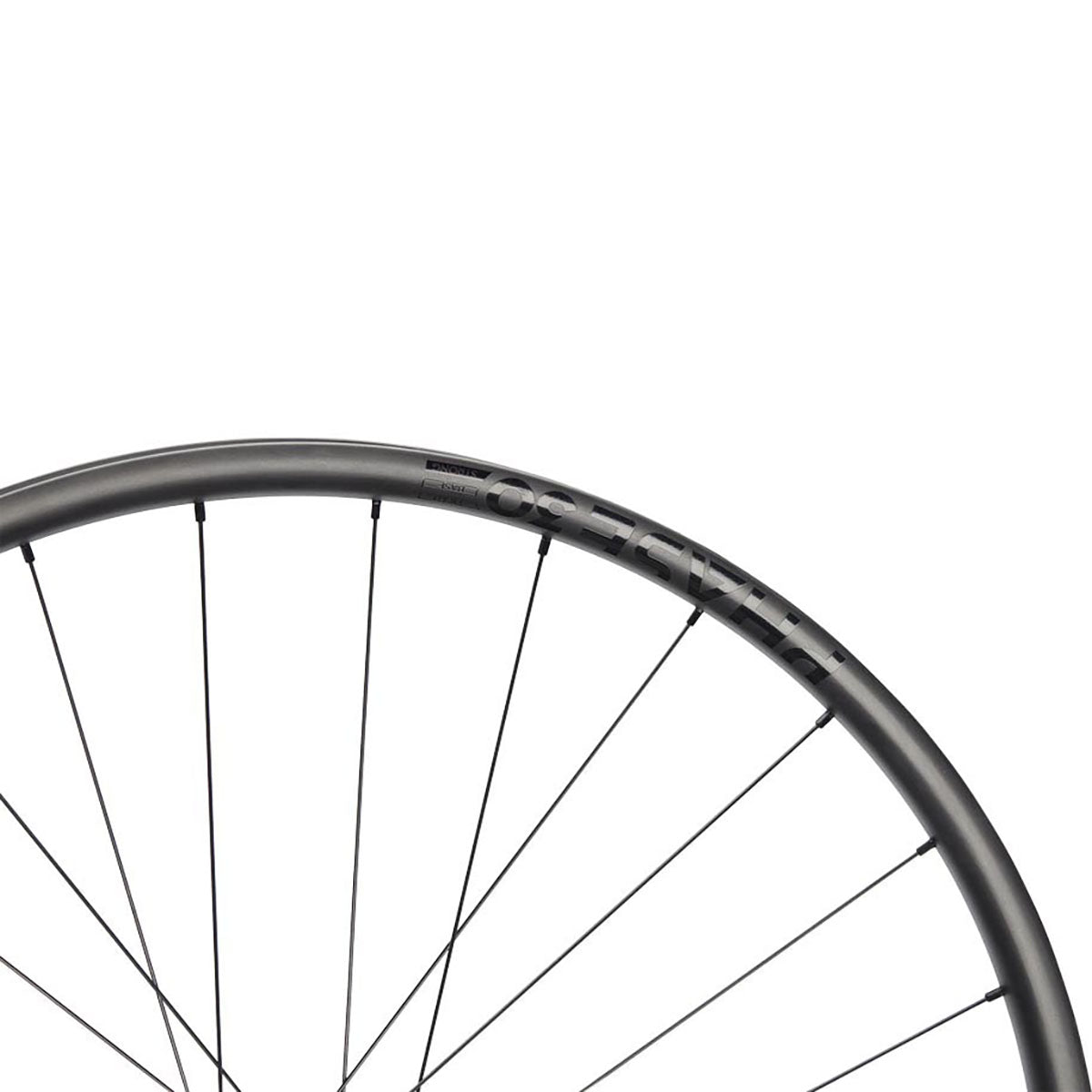 NEWMEN Rear Wheel - Phase 30 Strong 29" 28h FADE SP 6B - Enduro