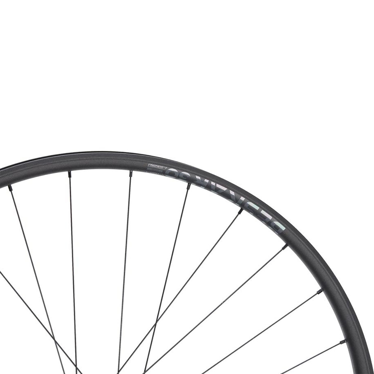 NEWMEN - Wheel (Rear) - Beskar 30 Base | Trail - [D]