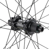 NEWMEN - Wheel (Rear) - Beskar 30 Strong | Enduro - [D]