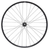 NEWMEN - Wheel (Rear) - Beskar 30 DH | Downhill - [D]
