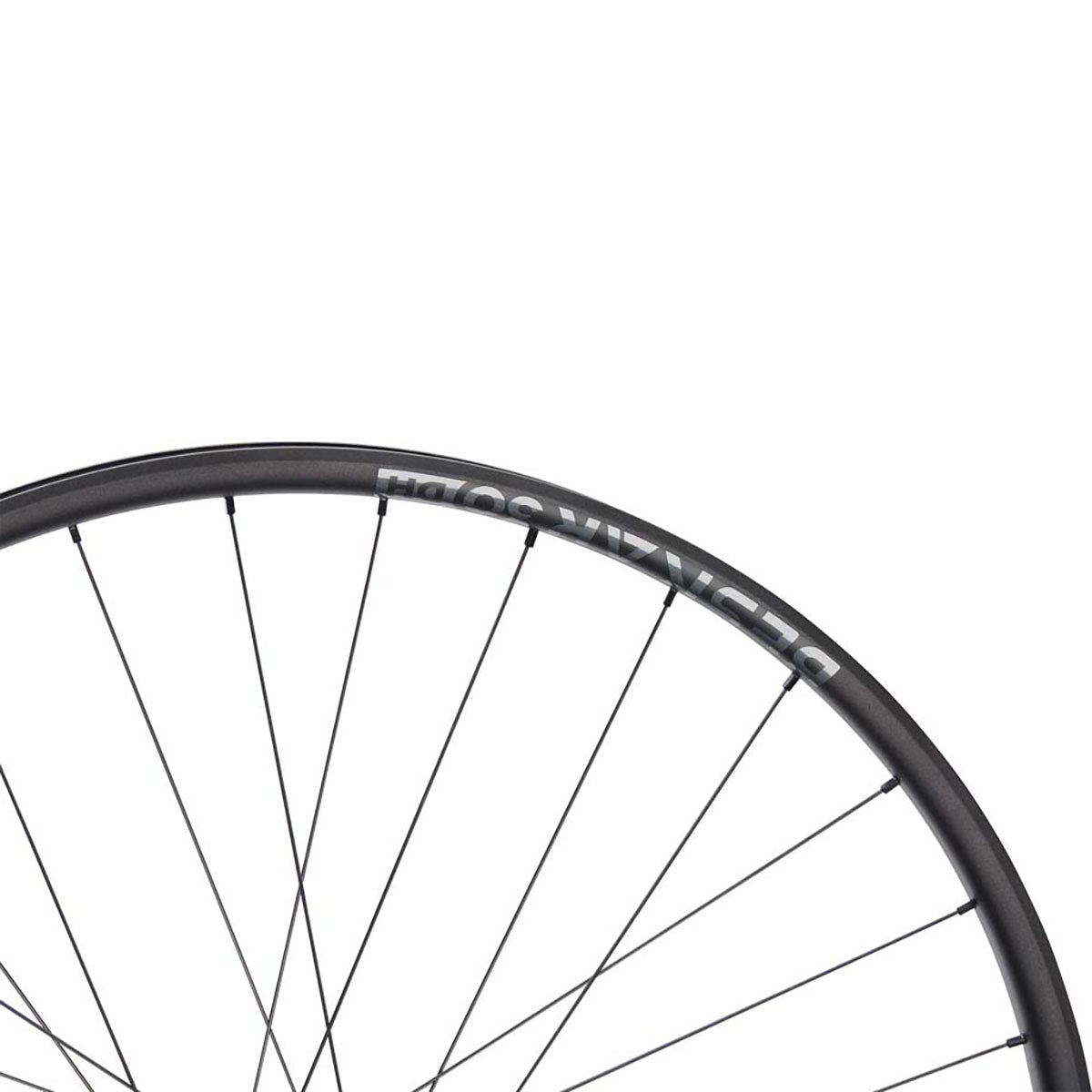 NEWMEN - Wheel (Rear) - Beskar 30 DH | Downhill - [D]