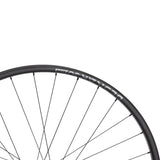 NEWMEN - Wheel (Rear) - Beskar 30 DH | Downhill - [D]