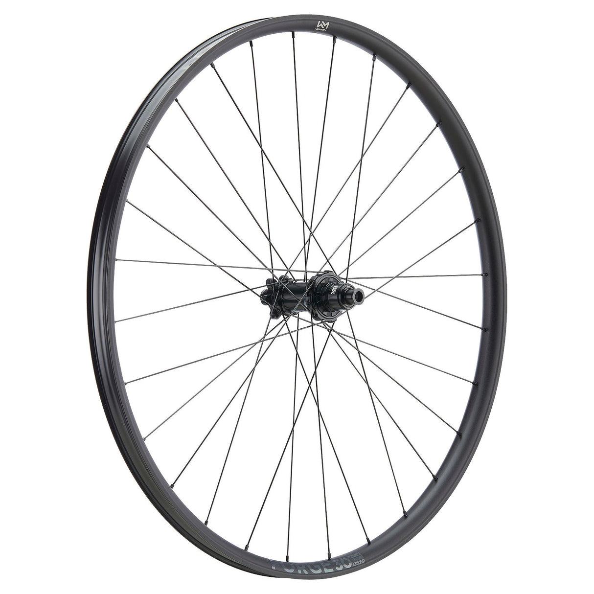 NEWMEN - Wheel (Rear) - Forge 30 Base | Trail - [D]