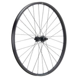 NEWMEN - Wheel (Rear) - Forge 30 Base | Trail - [D]