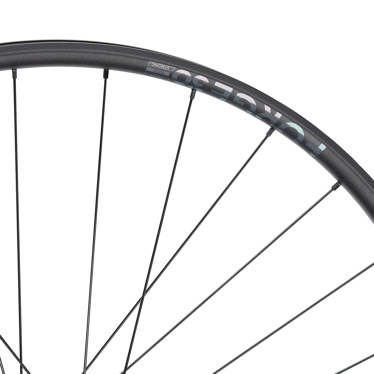 NEWMEN - Wheel (Front) - Forge 30 Base | Trail - [D]
