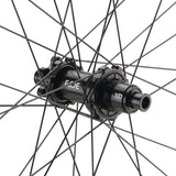 NEWMEN - Wheel (Rear) - Forge 30 Light | Cross Country - [D]