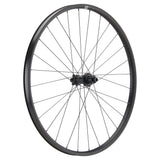 NEWMEN - Wheel (Front) - Performance 30 Base | Trail - [D]