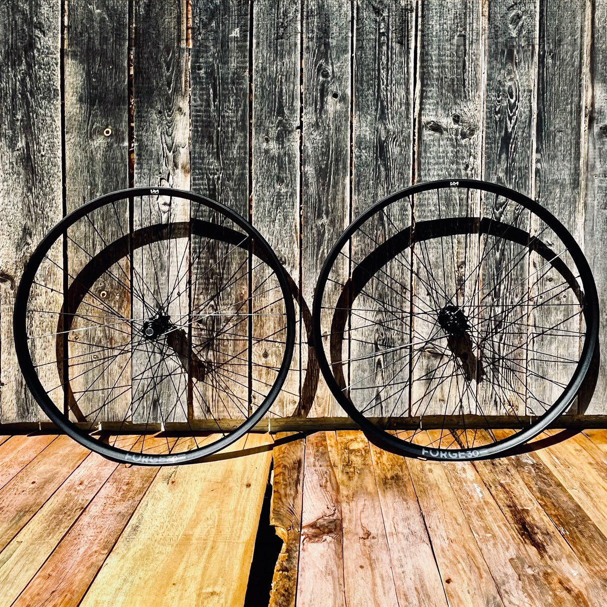 NEWMEN Front Wheel - Forge 30 light 29" 28h FADE SP 6B 15x110 - XC