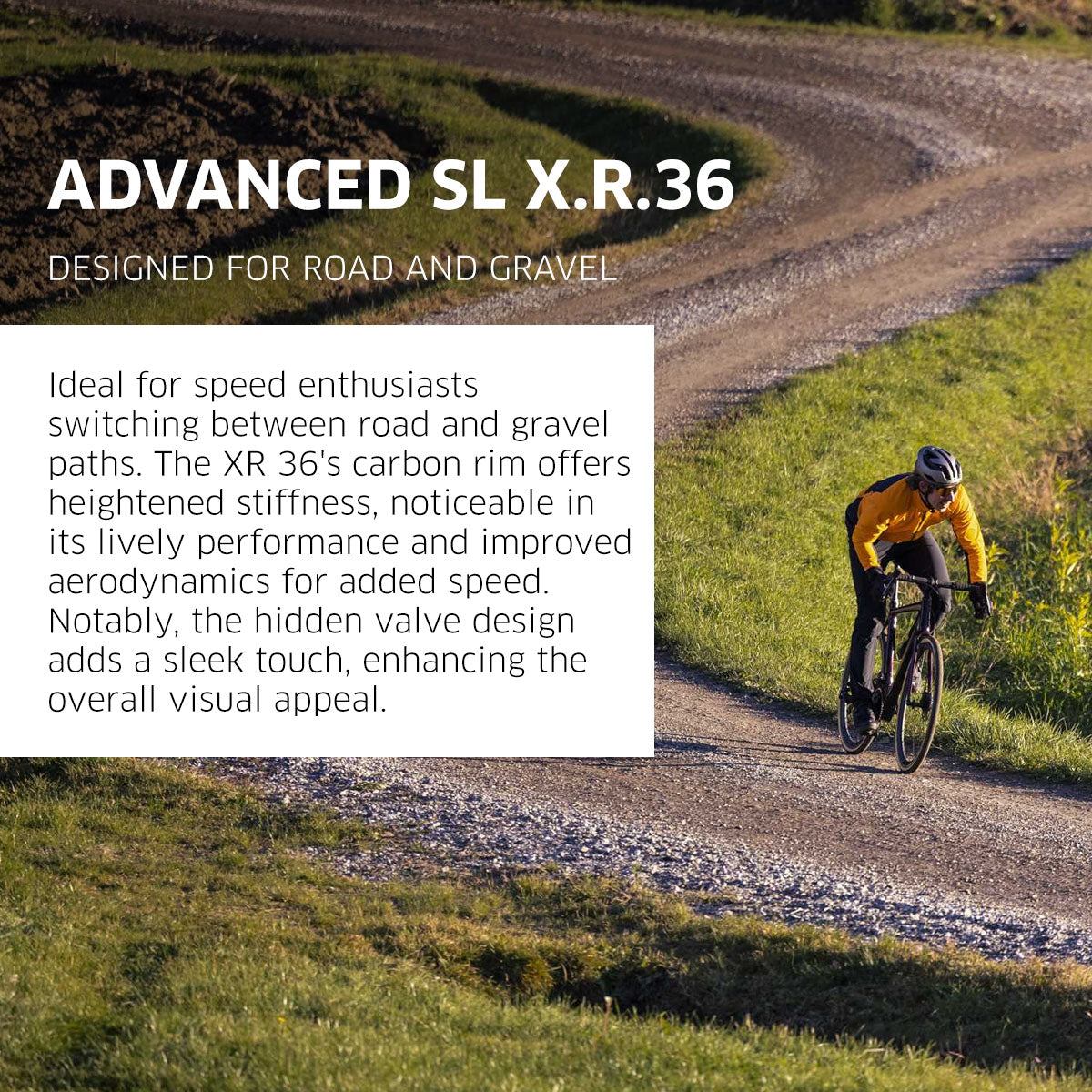 NEWMEN - Wheel (Rear) - Advanced SL X.R.36 | Gravel - [D]