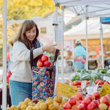 Orchard Grocery Pannier