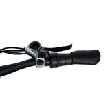 Pacer Lite Electric Bike