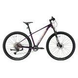 MT400-29" Mountain Bike
