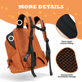 ROCKBROS Folding Bike Pet Bag  Backpack