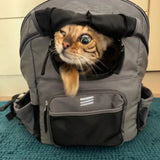 ROCKBROS Folding Bike Pet Bag  Backpack