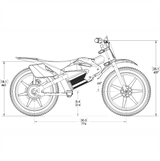 SYNDYT SYR 160 16" E Balance Bike. 36 Volts. 10 AH. 350 Watts. 5, 10, 16mph