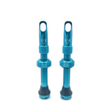 Insert Compatible Tubeless Valves