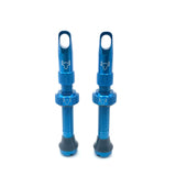 Insert Compatible Tubeless Valves