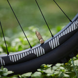 Quick Fill Schrader Tubeless Valves