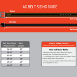 Alchemy Goods- Ballard Belt