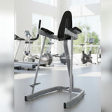 Vertical Knee Raise - Elite Series - Muscle D Fitness - Sturdy Vertical Knee Raise