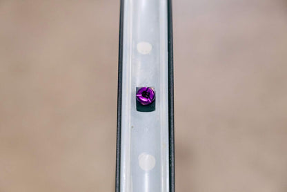 Tubeless Presta Valve Stem Kit