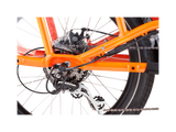RadWagon™ 4 Electric Cargo Bike