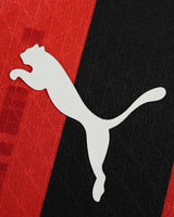 AC MILAN HOME 2024/25