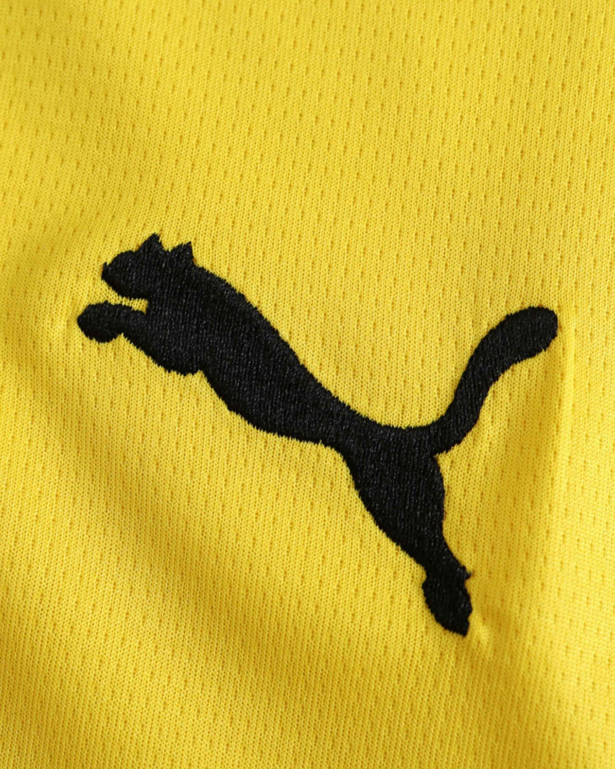 DORTMUND HOME 2024/25