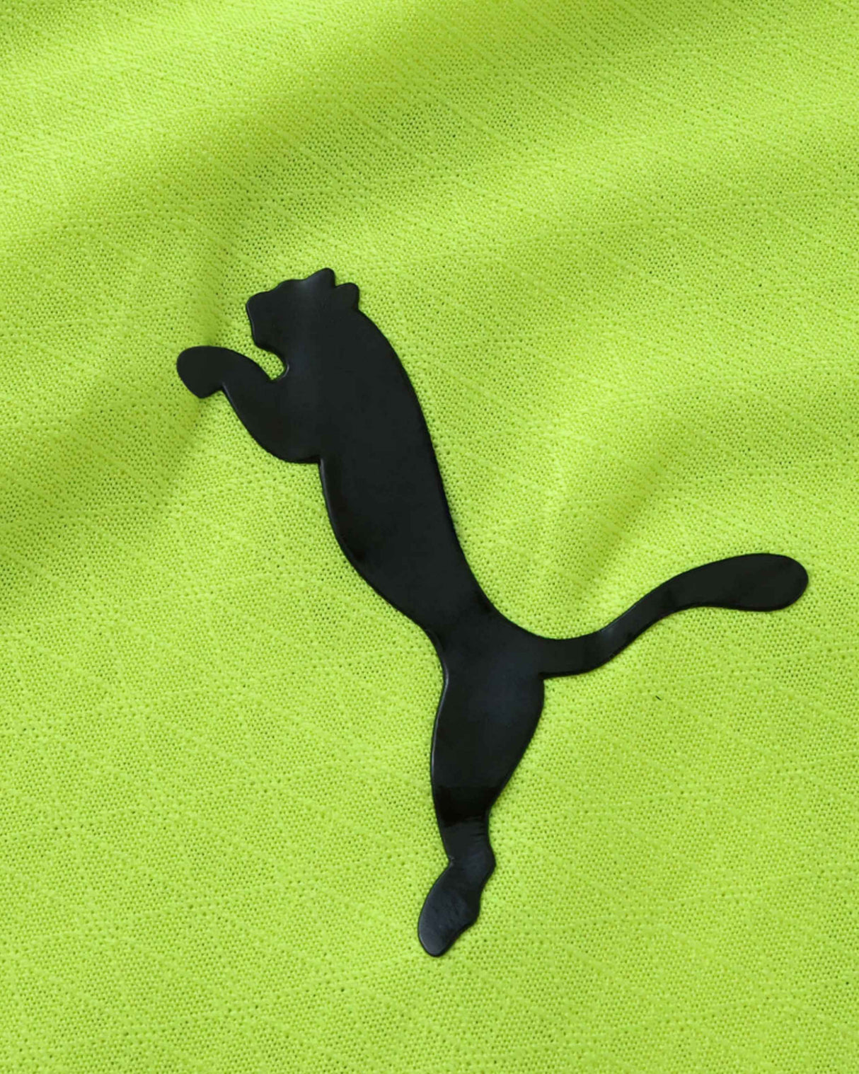 DORTMUND x BORUSSIA GREEN PREMIUM KIT