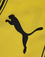 DORTMUND x ONE PIECE PREMIUM KIT