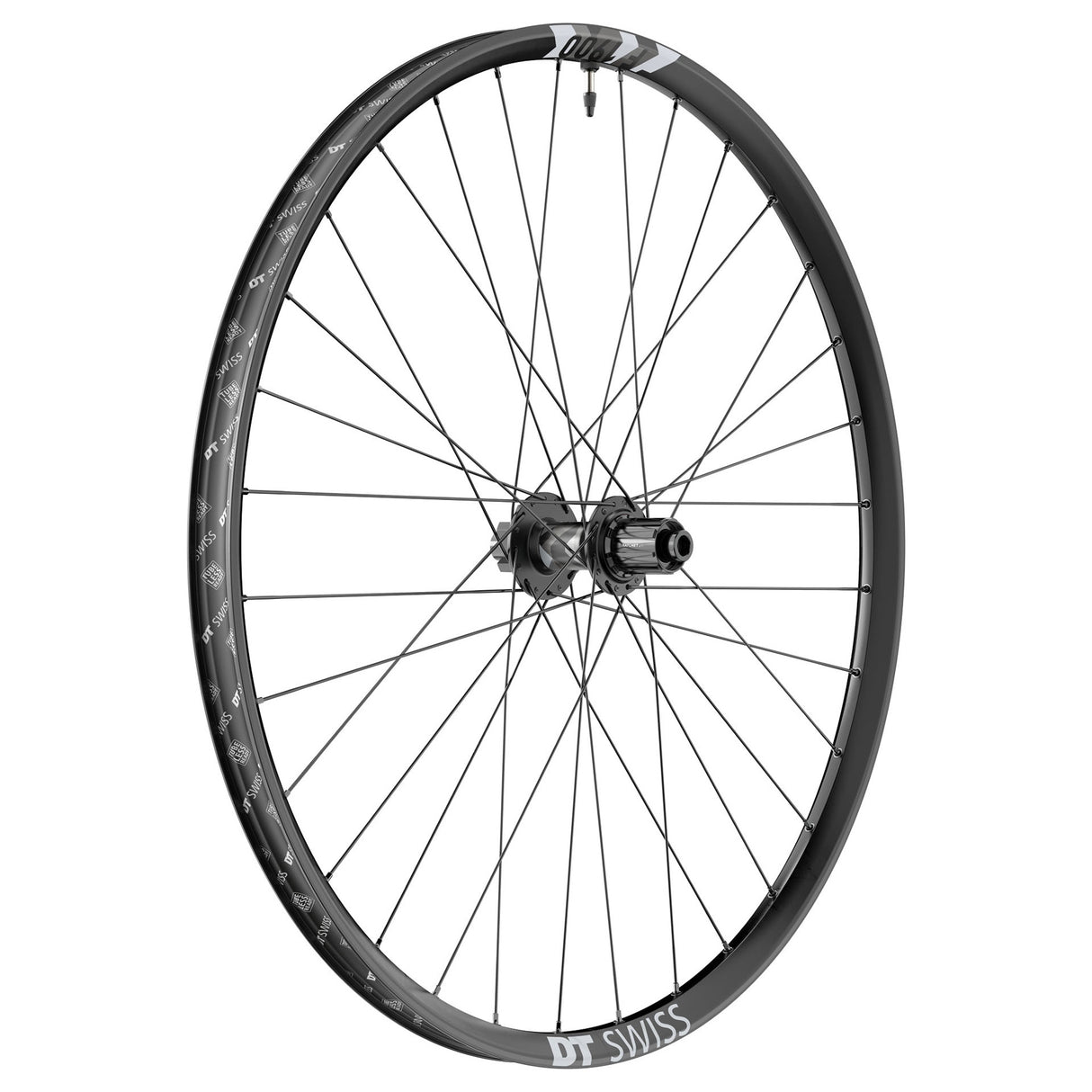 F 1900 Classic Rear Wheel, 29", 12x148, HG 8-11sp