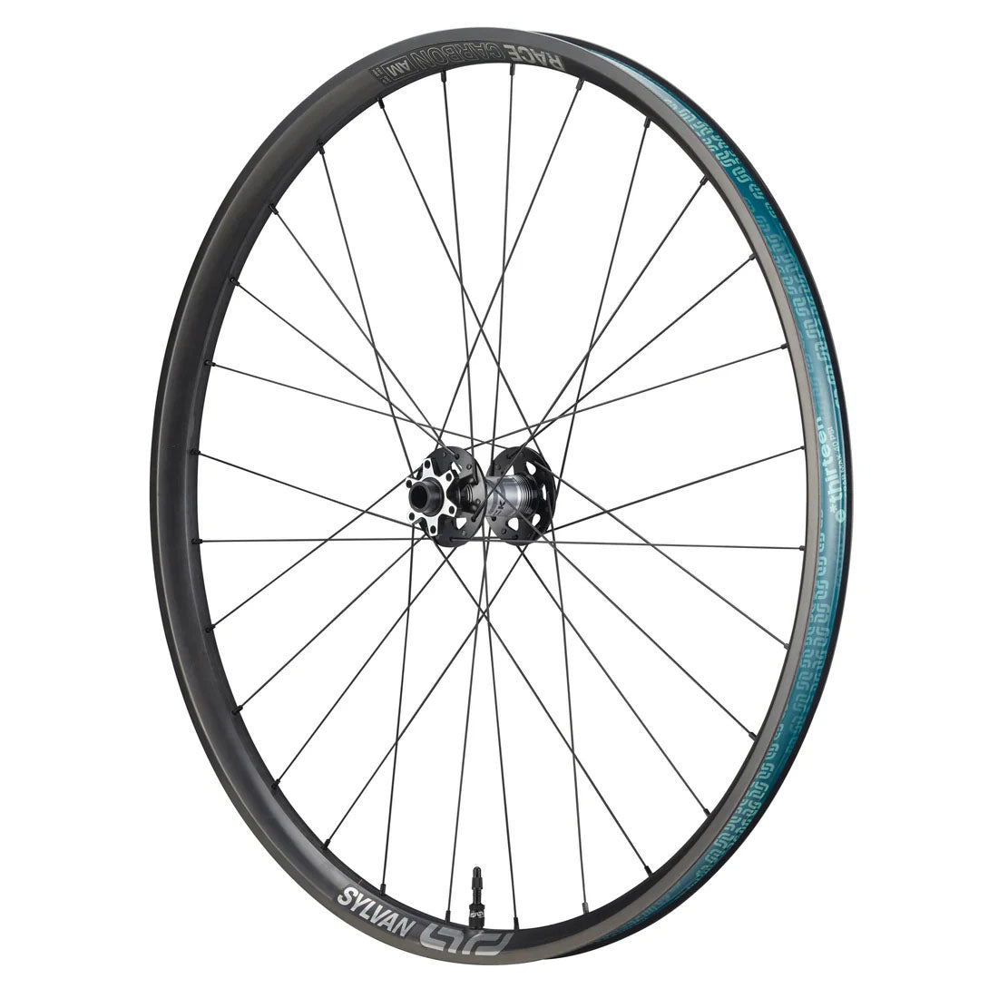Sylvan Sidekick Race Carbon F Whl, 29",15x110 Blk  NLS
