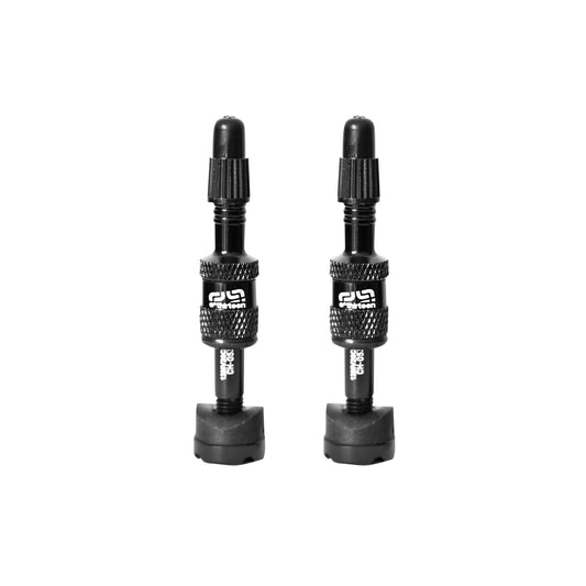 E*thirteen Quick Fill Tire Plasma Valves(19-23mm Rim) Pair - Blk