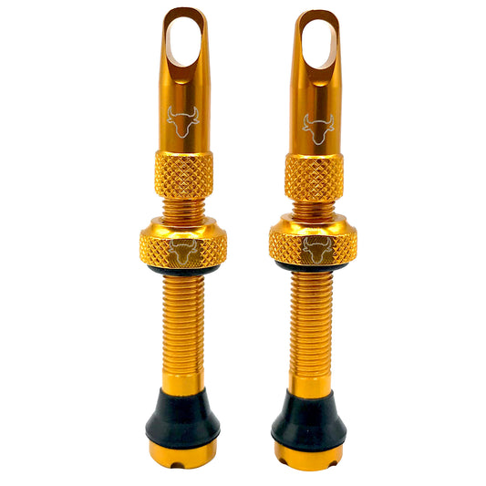 Hold Fast Cycling Tubeless Valve Stem 42mm (Pair) - Gold