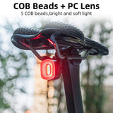 R2 Tail Light Brake Sense USB-C