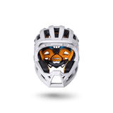 Invader 2.0