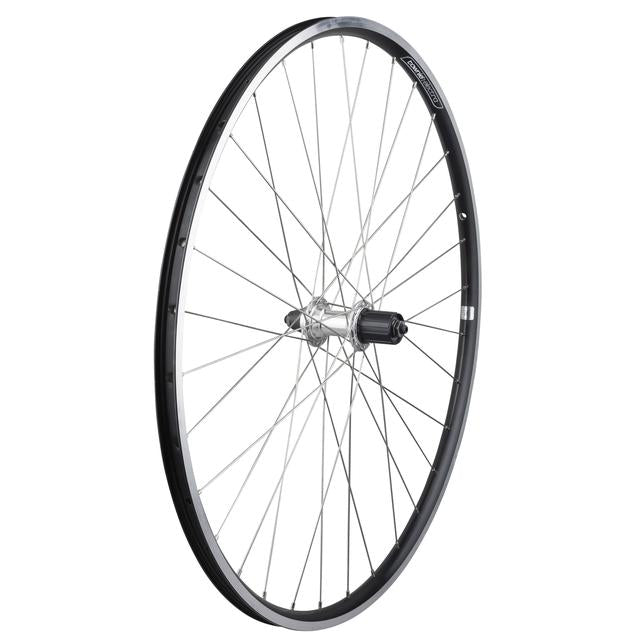 Townie Commute 8D Wheel