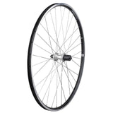 Townie Commute 8D Wheel