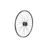 Townie 7D EQ 26" Wheel