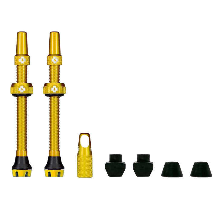 Tubeless Valve, 44mm, Pair - Gold V2