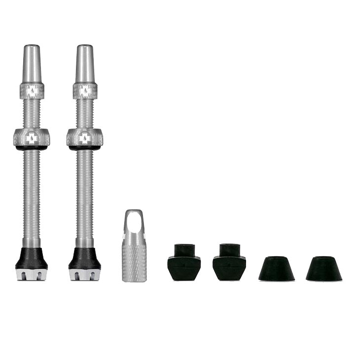 Tubeless Valve, 60mm, Pair - Silver V2  NLS