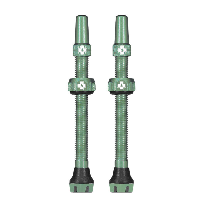 Tubeless Valve, 44mm, Pair - Turquoise V2