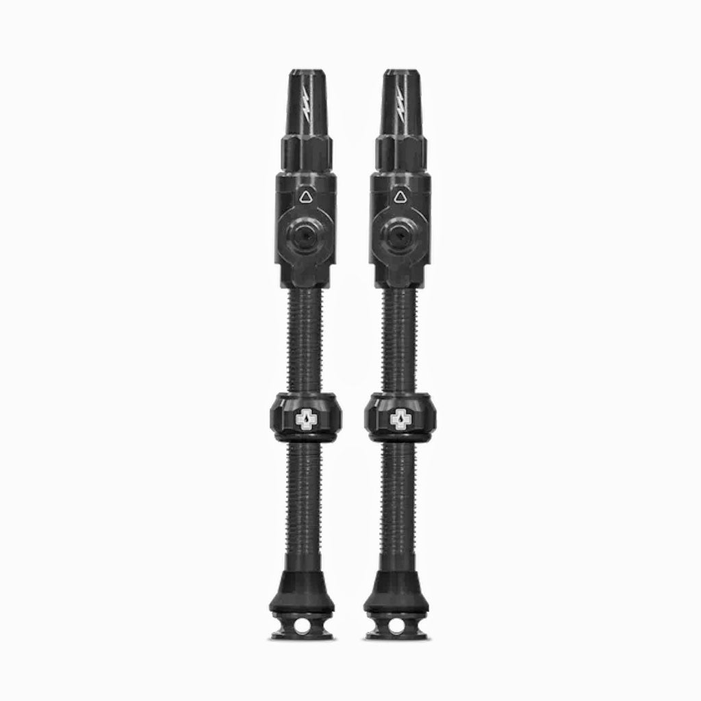 Big Bore Lite Tubeless Valve, 75mm, Pair - Black  NLS