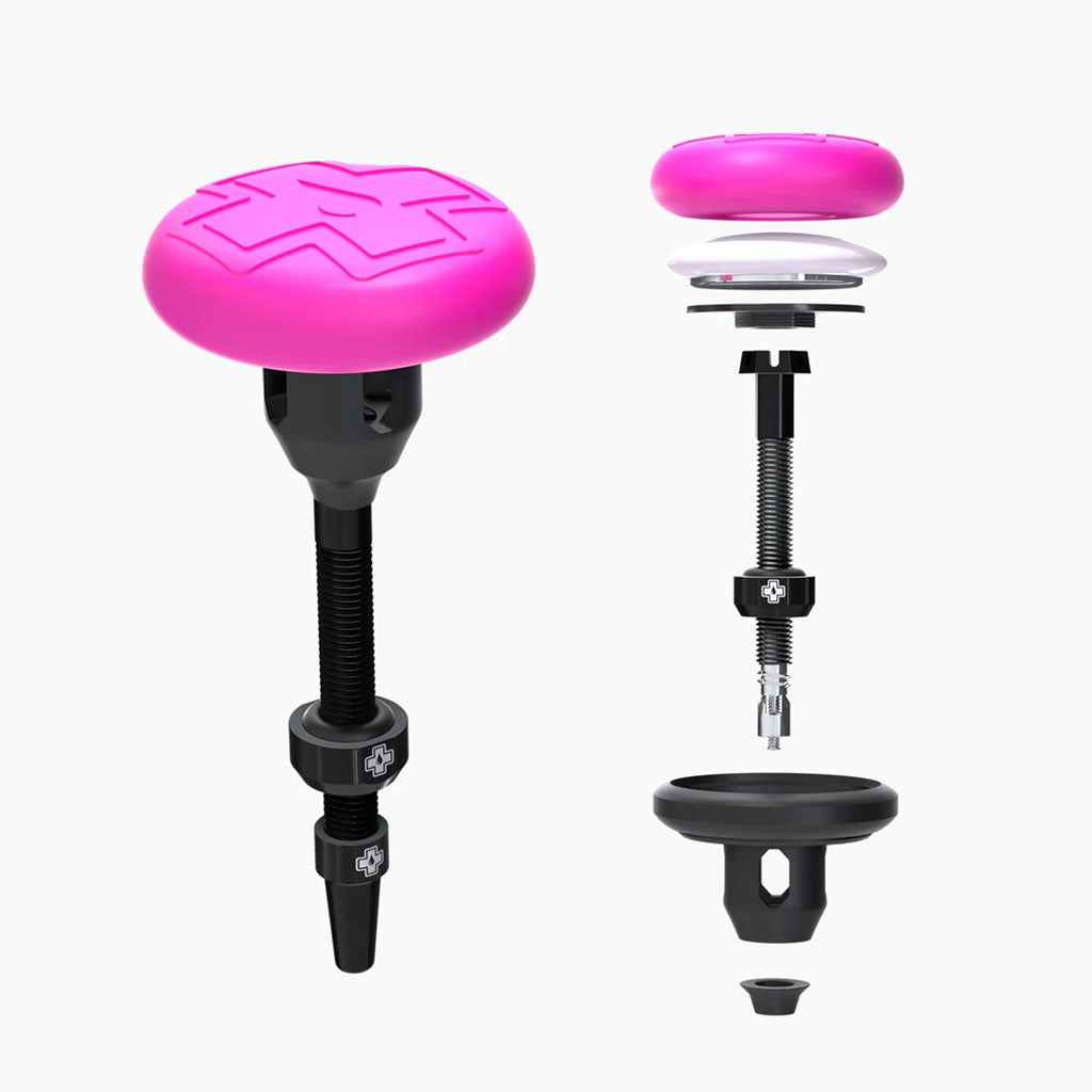 Tubeless AirTag with 2x44mm Valves, Black/Pink  NLS