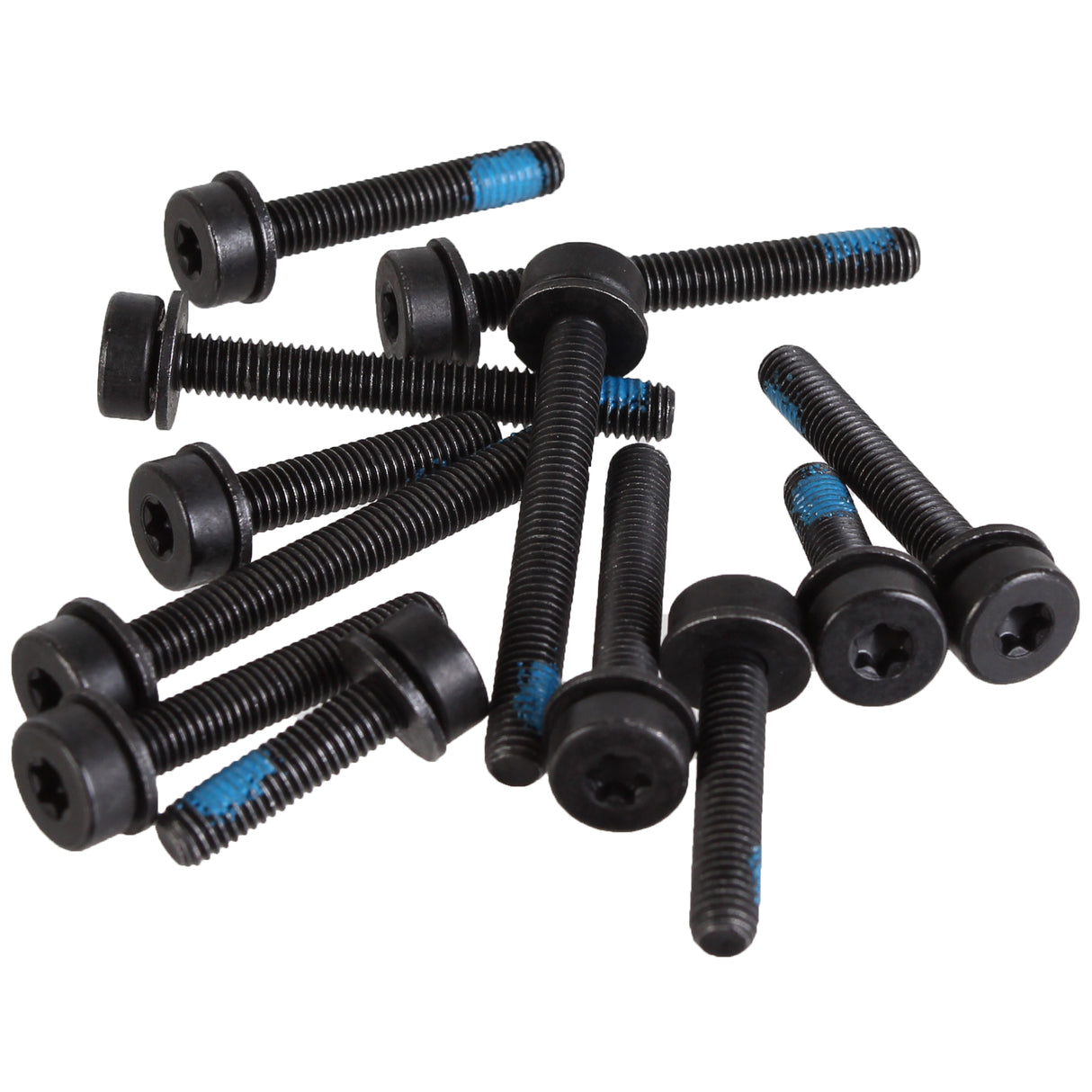 T25 Flat Mount Screw Set, Rear -12/Count Kit