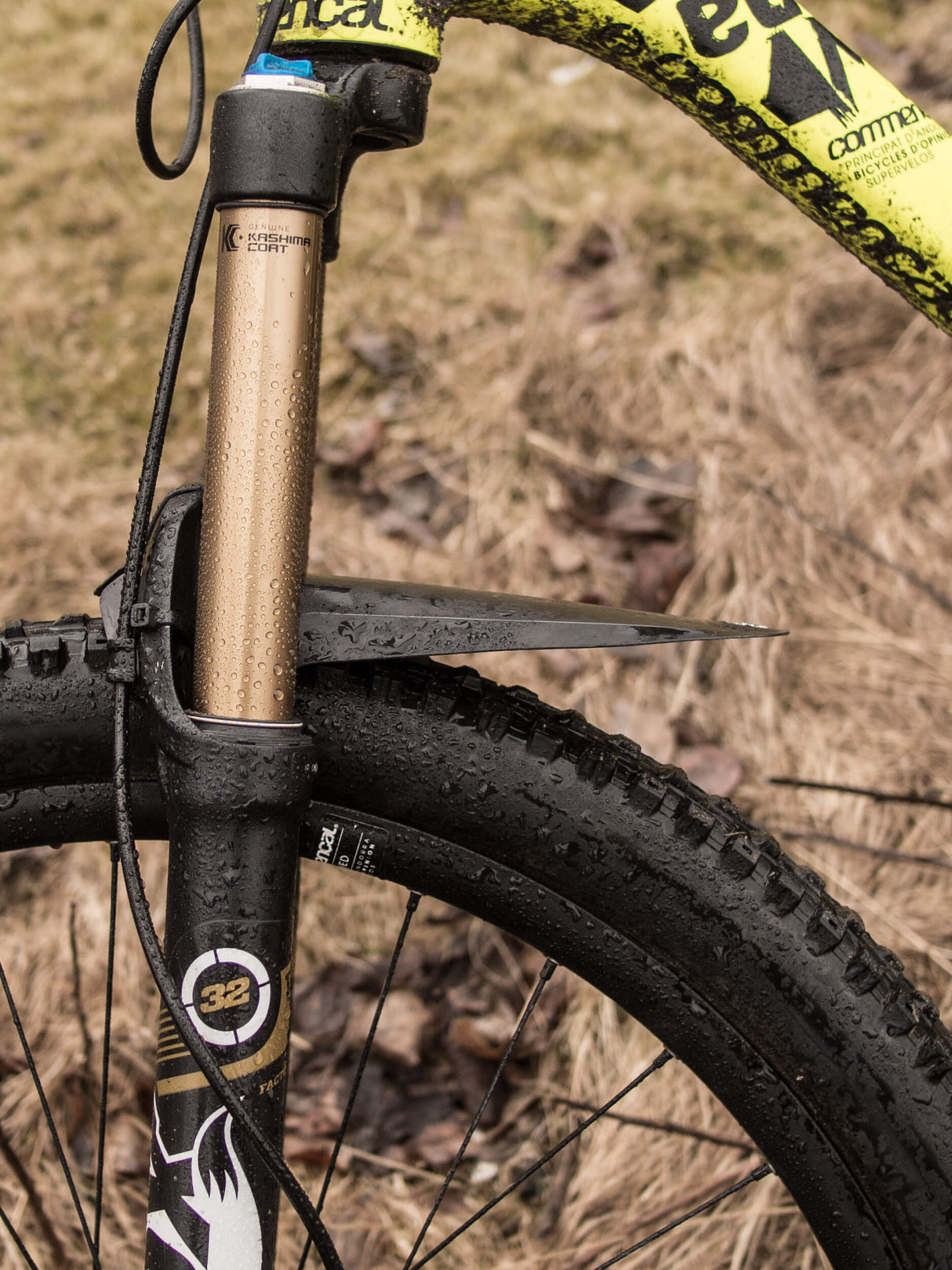 ASS SAVERS - Mudder Regular - Front Fender