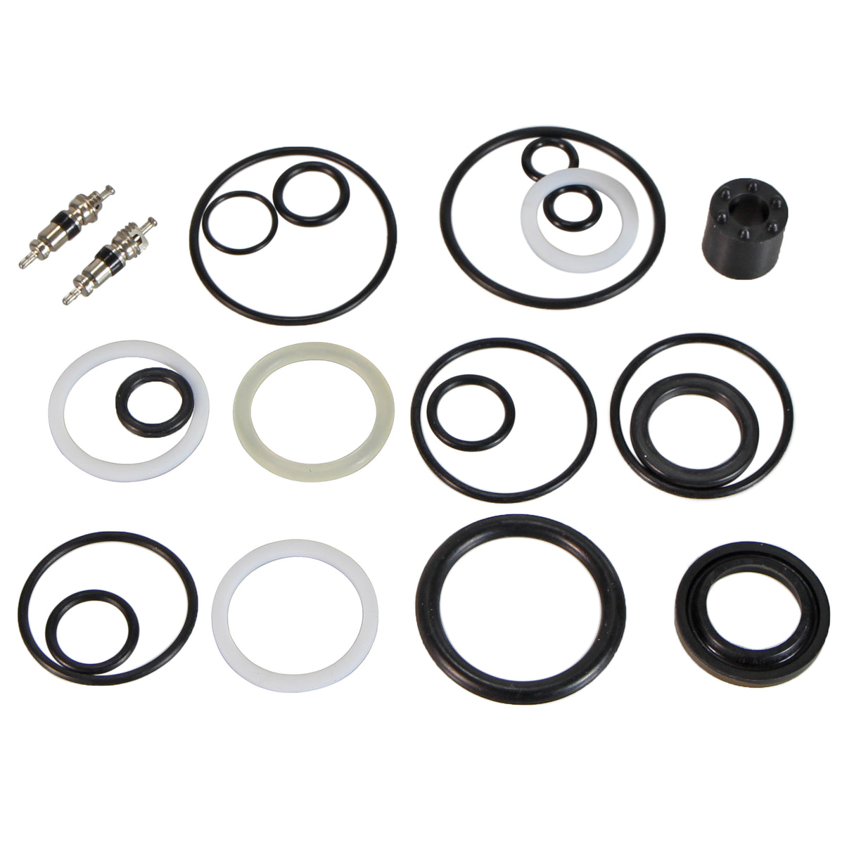 Air Spring 200hr Full Rebuild Kit, RXF34,36, 38, DH38