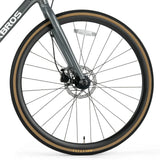 ROCKBROS RIDA P2E Series Road Bike