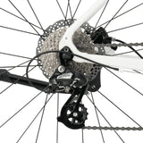 ROCKBROS RIDA P2E Series Road Bike